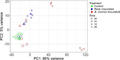 Time Is of the Essence—Early Activation of the Mevalonate Pathway in Apple Challenged With Gray Mold Correlates With Reduced Susceptibility During Postharvest Storage